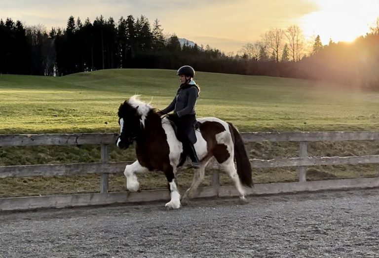 Reit-Mental-Trainings-Wochenende am Islandpferdegestüt Hainzberg