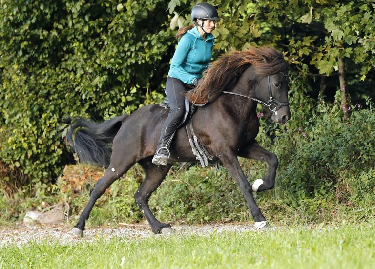 Jugendfördertraining des IPF Isartal in Schönberg